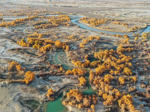 塔里木盆地