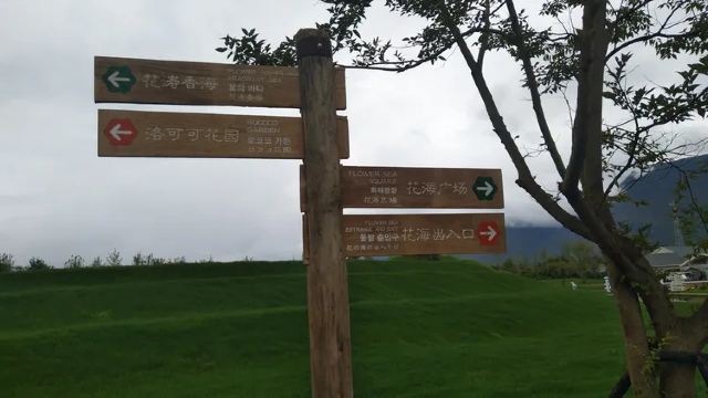 雪山花海乐园旅行图片 6