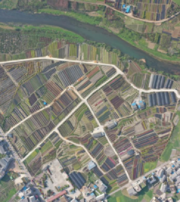 惠水游记图文-乡游黔中 ·惠水县 司蒙村 │ 绝美村落，体会徜徉在花海的快乐