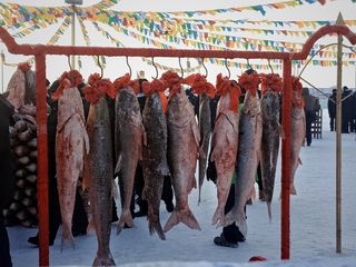 冬天到了,东北的3种硬核玩法,这是南方人体会不到的快乐