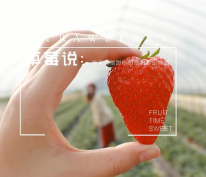 松山湖度假区游记图文-东莞最美农家乐 ，团建拓展，大朗松山湖，团建推荐基地，野炊，华为小镇附近