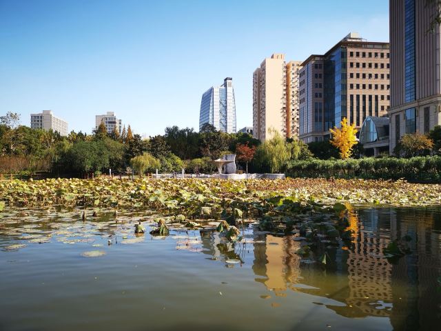 黄兴公园旅行图片 9