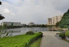 九龙湖公园景点图片