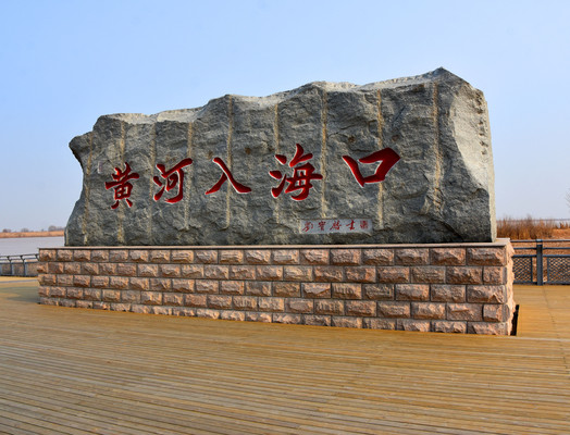 山东旅游：自驾两访黄河入海口散记（图）