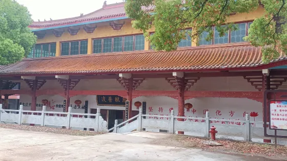 金霞山森林公園