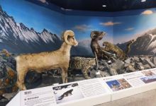 中国科学院新疆生态与地理研究所标本馆景点图片
