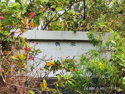 三亚市穆斯林古墓群