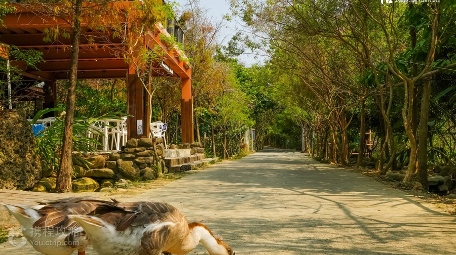 阿信巧克力農場