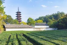 延庆寺塔景点图片