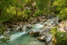 魔法森林-拉姆绍