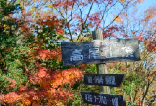 高尾山景点图片