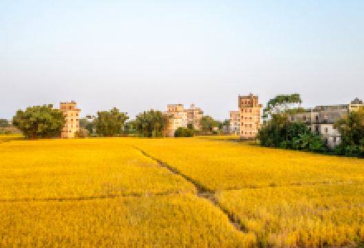 开平碉楼文化旅游区景点图片