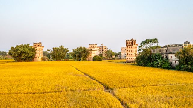 开平碉楼文化旅游区