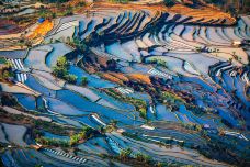 老虎嘴梯田-元阳