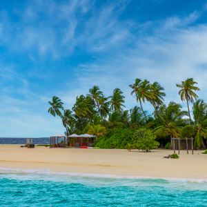 Furanafushi