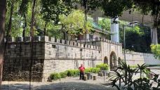 大围村-香港-貓貓達