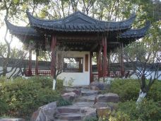 曾园赵园-常熟-猫猫在旅行