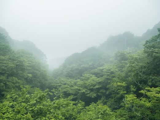 斗岩风景区