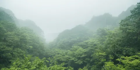 鬥巖風景區