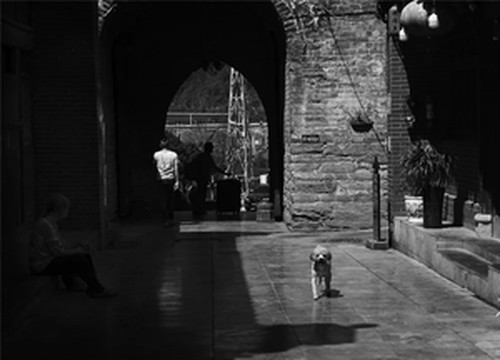 石泉游记图文-韩武成：遇见石泉