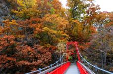 定山溪温泉-札幌-乐吃购