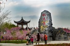 墨潭桃花岛-吉水-C-IMAGE