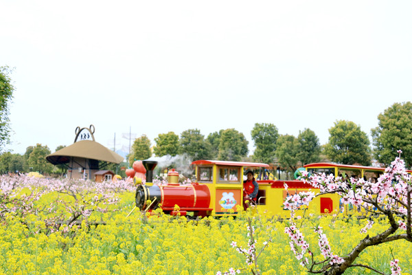 安吉旅游|春季团建赏花首选地