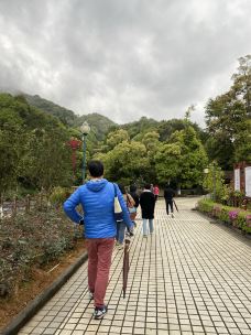 经律论文化旅游小镇-韶关-cattanjing