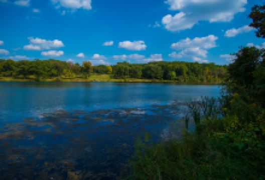昆阳池公园景点图片