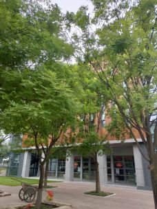 西安城市运动公园-西安-清风若溪