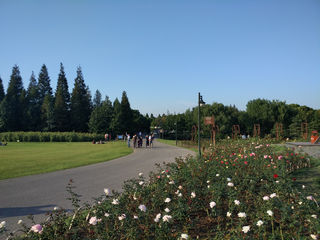 游滨江森林公园