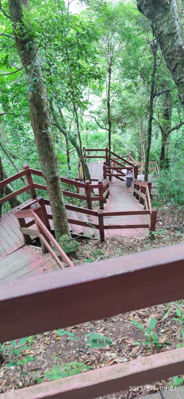 海南热带雨林国家公园五指山景区旅行图片 1