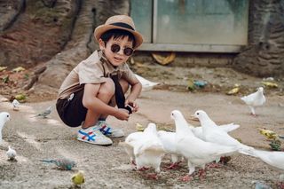 小猪会跳水，鹦鹉在掌心，安吉这个亲子乐园花样萌宠嗨翻天