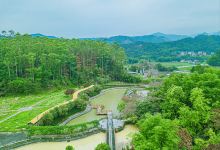 龙公祖庙景点图片