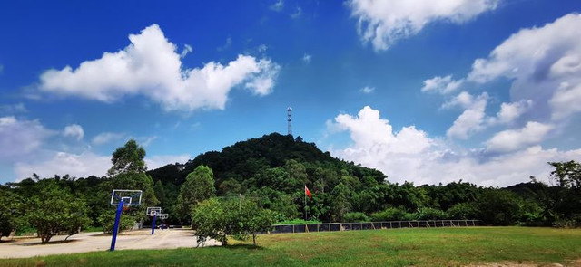 广州适合休闲散散心的生态园