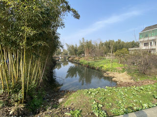 联群村，龚家荡寻访—20220131