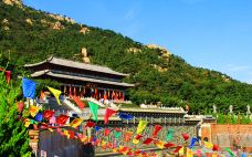 赤山法华院-荣成-老老倪