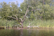 Suncook River景点图片