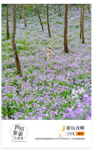 爆火的成都周边花海秘境！打卡成都版“挪威森林”、园林古镇，一天耍完，这地方太棒了！