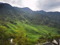 婺源-开心就好灬