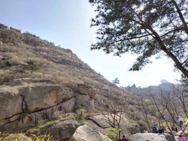 大珠山文化广场旅行图片 4