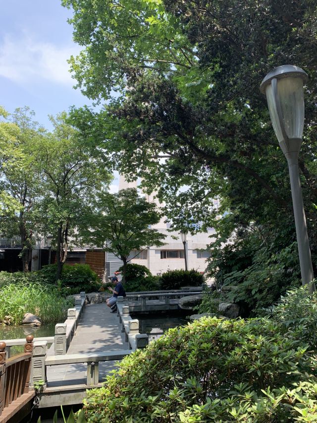 黄浦公园旅行图片 3