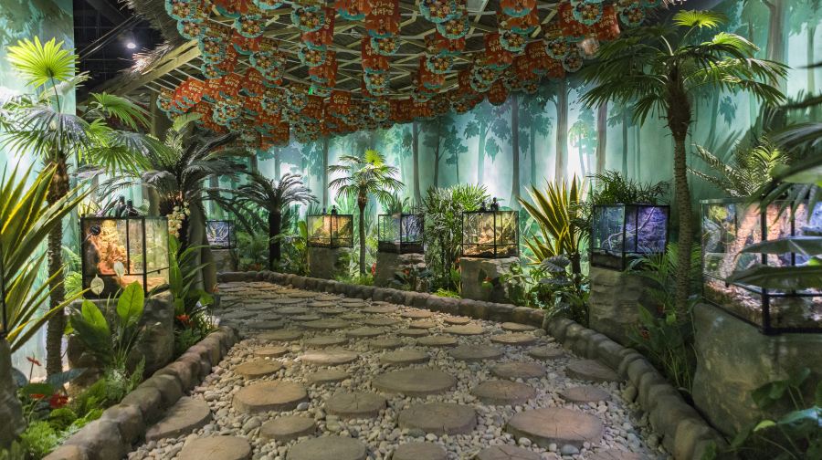 西游王国•西游萌宠空间