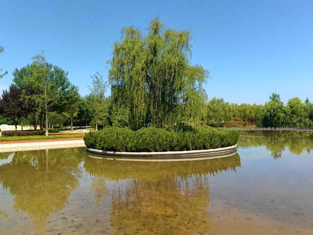 西安浐灞国家湿地公园旅行图片 1