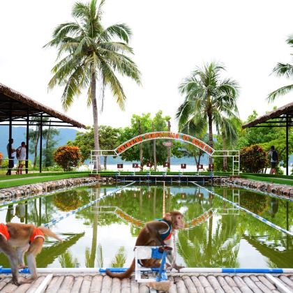 越南芽庄4日3晚自由行