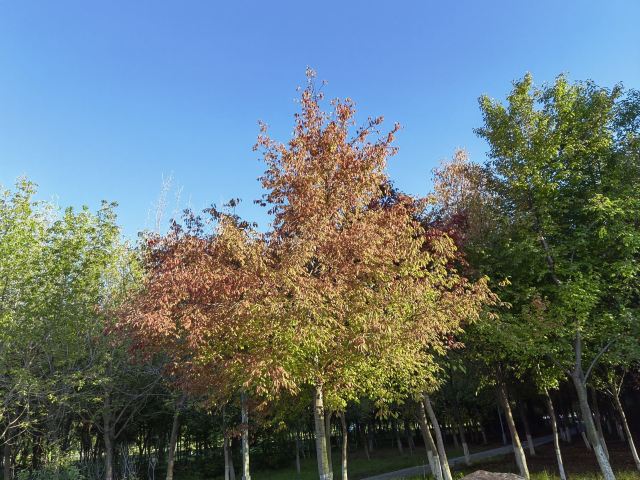 长春工业轨迹公园旅行图片 3