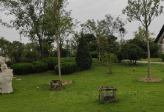 石化公园景点图片