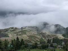 西南地区游记图片] 梯田奇观