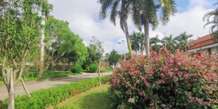 茂名珍稀植物園