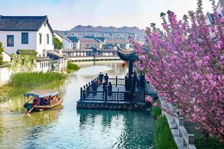 十里春风，万物复“苏”！邂逅早春的苏州，繁花似锦好时节